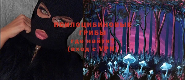 винт Мегион
