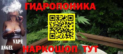 прущие крисы Гусь-Хрустальный