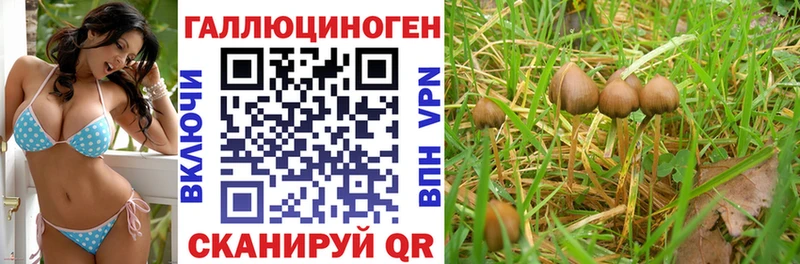 Галлюциногенные грибы мицелий  сколько стоит  Магадан 