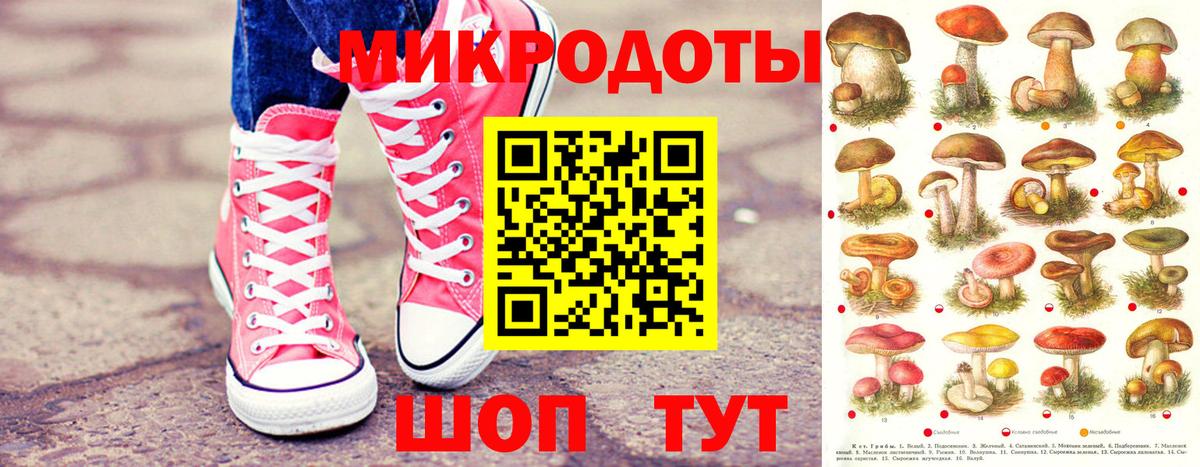 наркошоп  Псилоцибиновые грибы Psilocybe  Вход с VPN  Магадан 